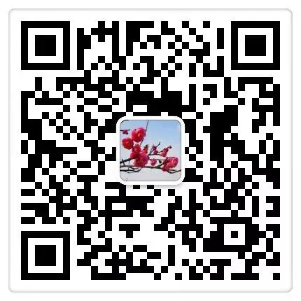 适合不同年龄段篮球爱好者的体能训练方案_1